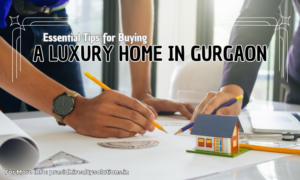 Luxury Home in Gurgaon